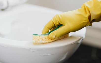 Alente Detail Cleaning Services