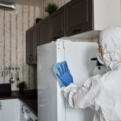 Alente Detail Cleaning Services