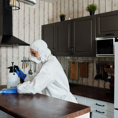 Alente Detail Cleaning Services