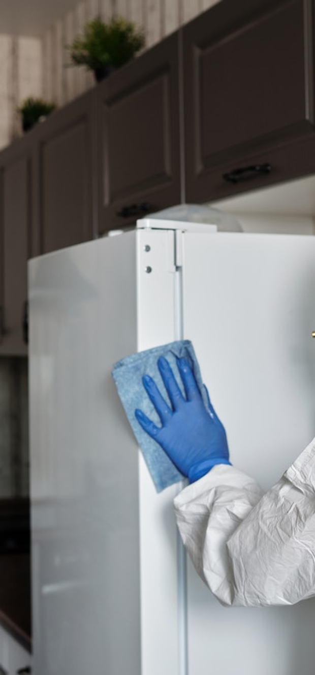 Alente Detail Cleaning Services