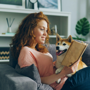 Alente Detail Cleaning Services