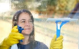 Alente Detail Cleaning Services