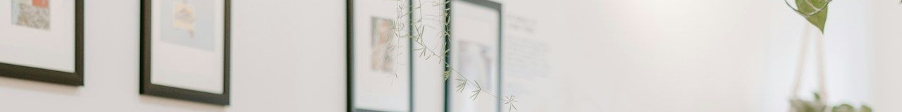 Alente Detail Cleaning Services